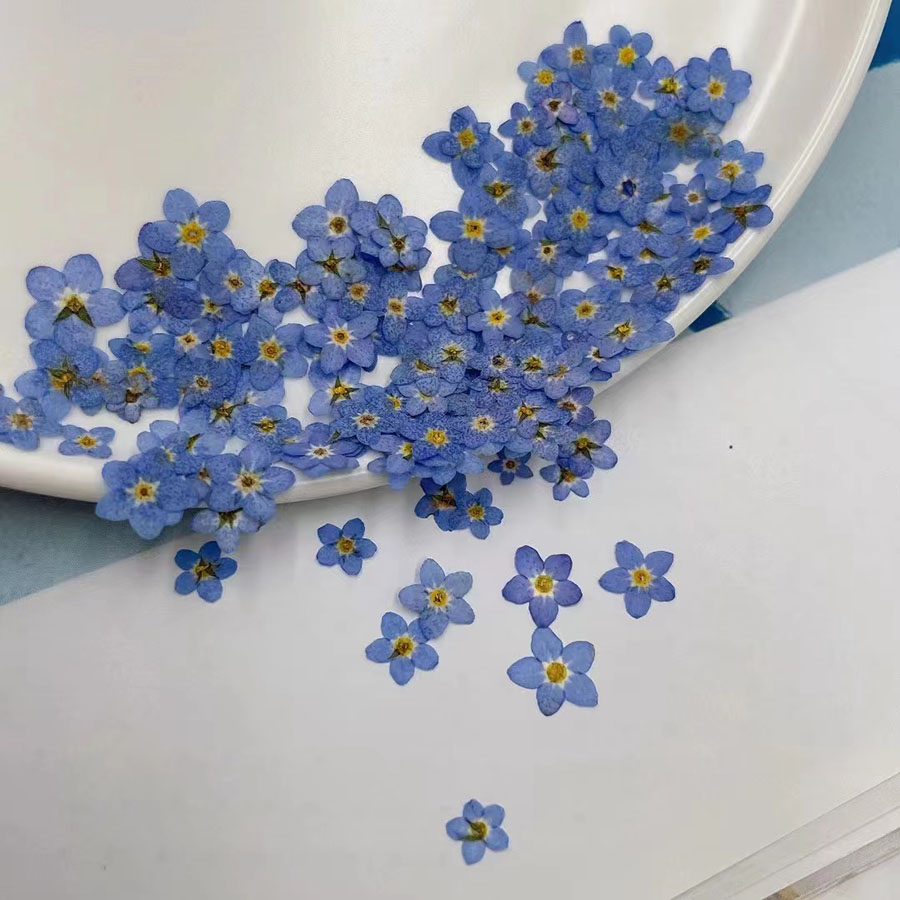 ดอกไม้แห้งขนาดเล็ก 60 ชิ้น – อ - Resin Art Equipment บทวิจารณ์และราคา